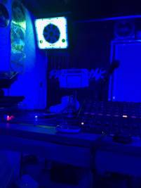 61273597_2492024250816684_357643210933141504_n