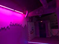 41768519_2164190183615701_7427146396463005696_n