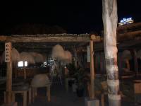 62381886_2521842737834835_6742543440002678784_n