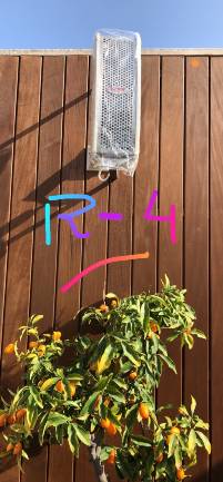 WhatsApp Image 2018-05-30 at 19.10.29